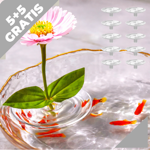 5+5 GRATIS | BloomRise – Hält Blumen sofort perfekt aufrecht und eindrucksvoll