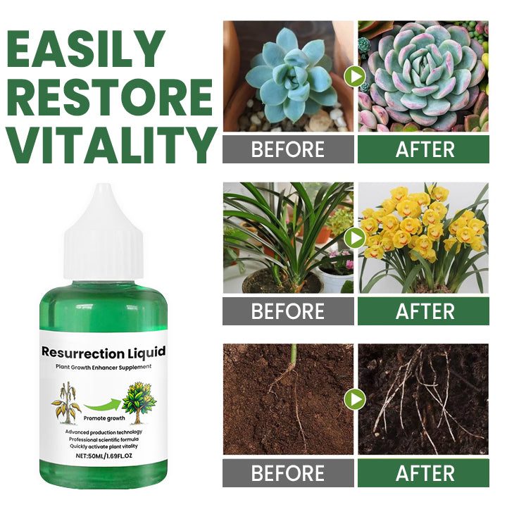 PflanzVital – Beleben Sie Ihre Pflanzen mit Resurrection Liquid! | 1+1 GRATIS