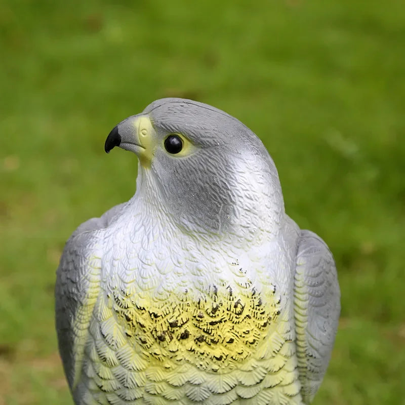 EagleGuard künstlicher Adler-Gartenvogelscheuche | PE Harzmaterial | Falkenattrappe | Außenornament